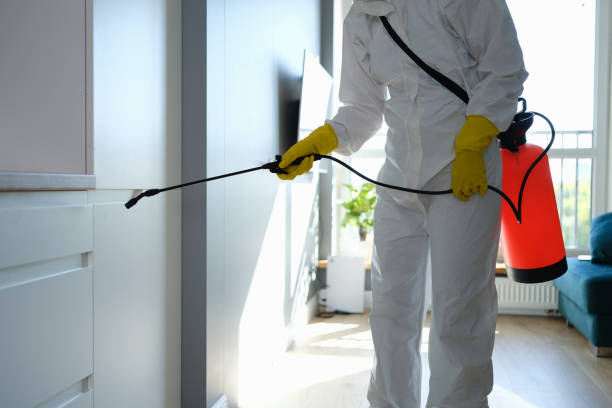 Best Mold Remediation for Schools in St Paul, MO